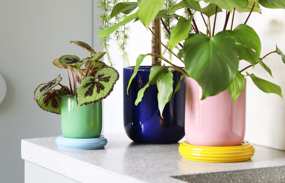 OUTLET  | Planters & Outdoor Accessories
