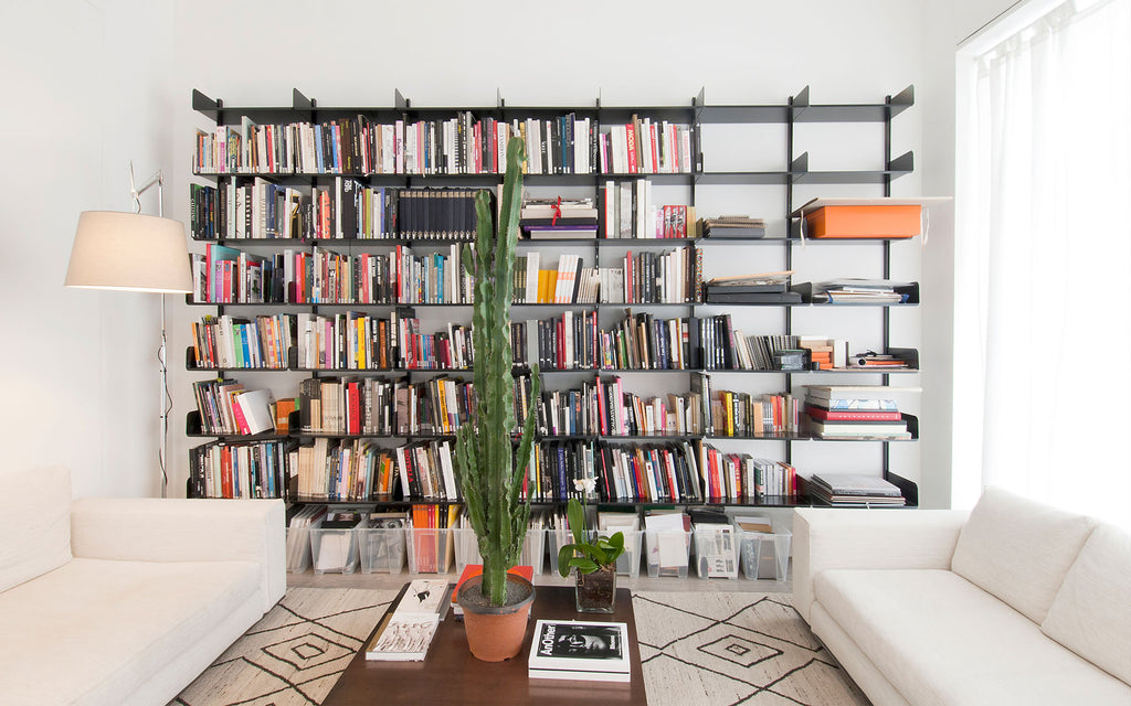 Kriptonite Collection