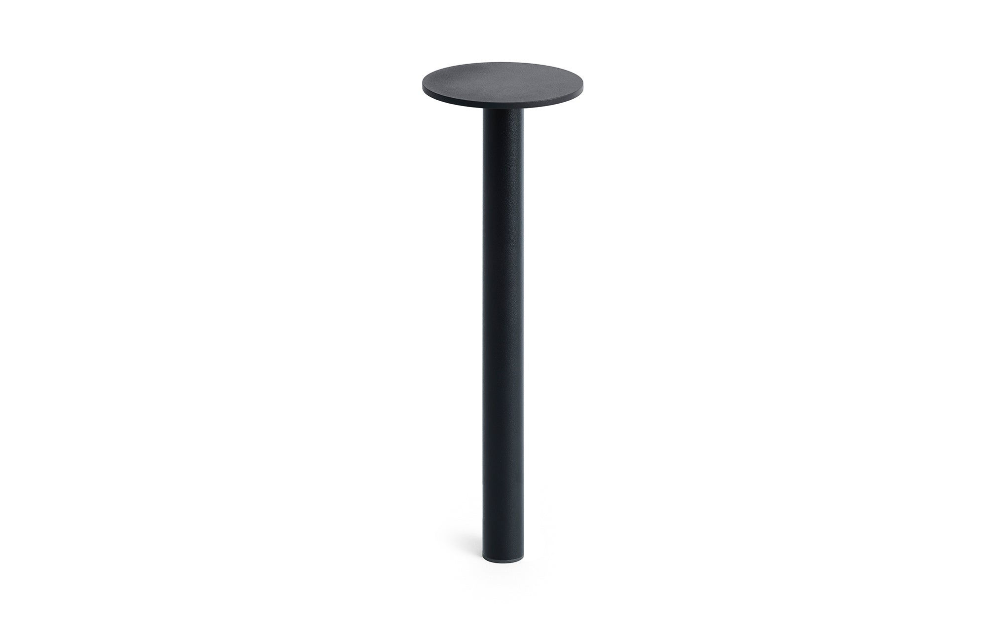 Host portable light - 300