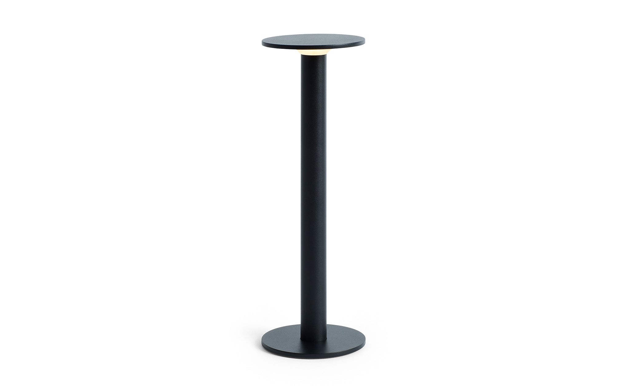 Host portable light - 300