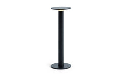Host portable light - 300