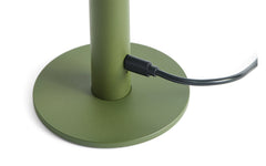 Host portable light - 220