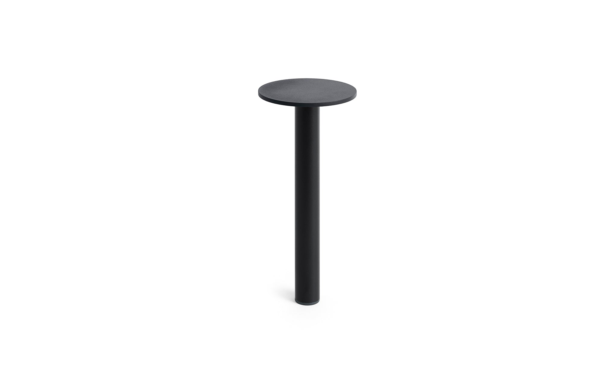Host portable light - 220