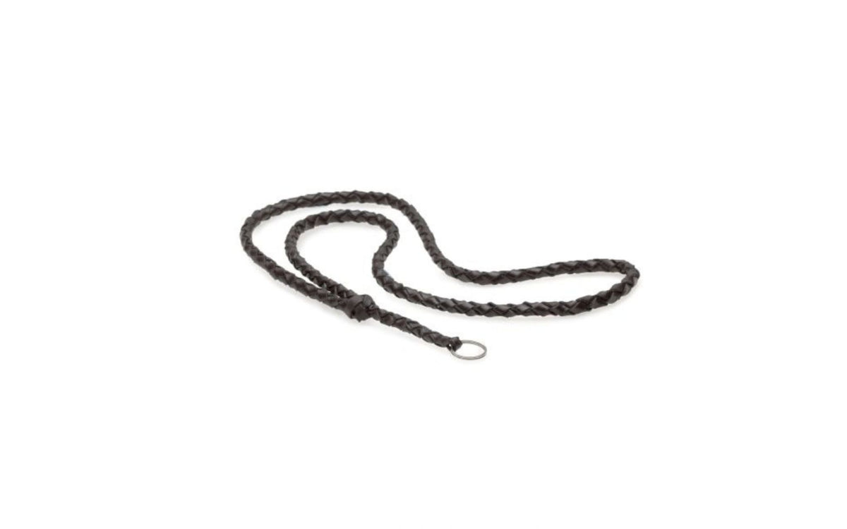 Acme silent dog whistle with lanyard & training guide