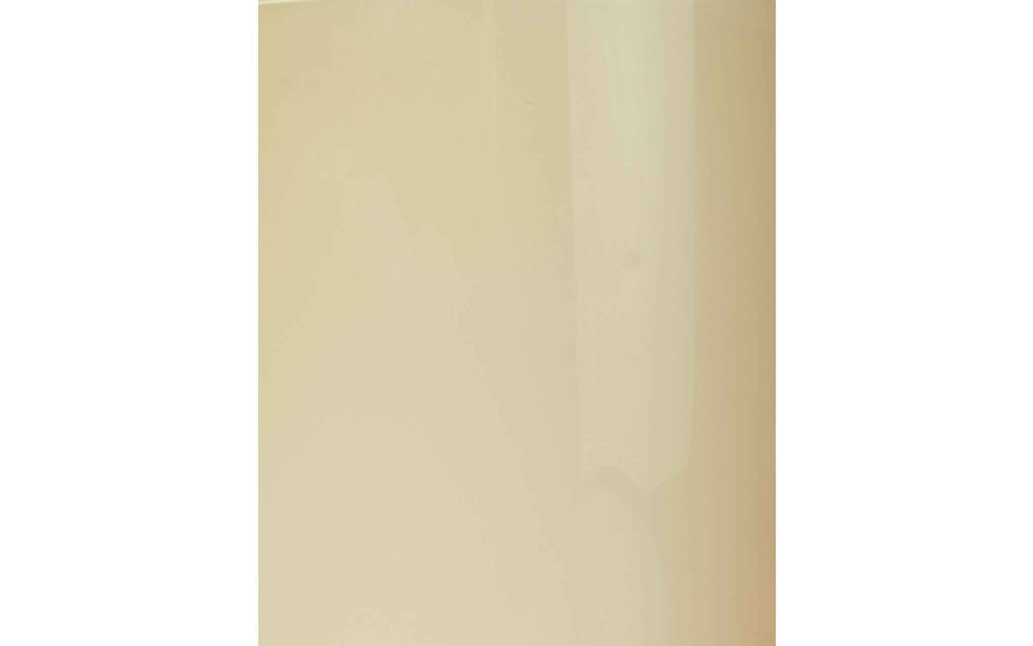 Trophy double pendant