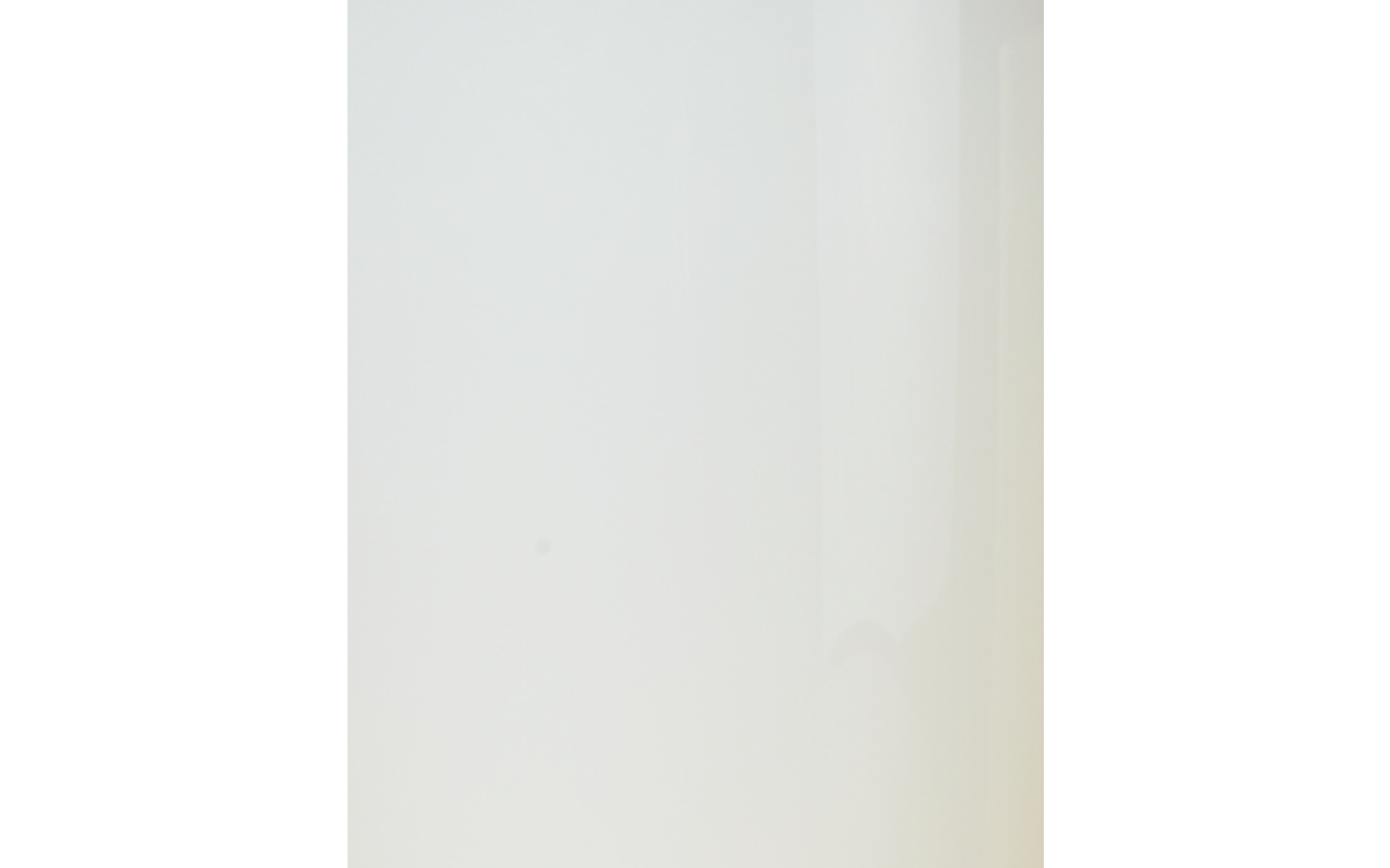 Trophy double pendant