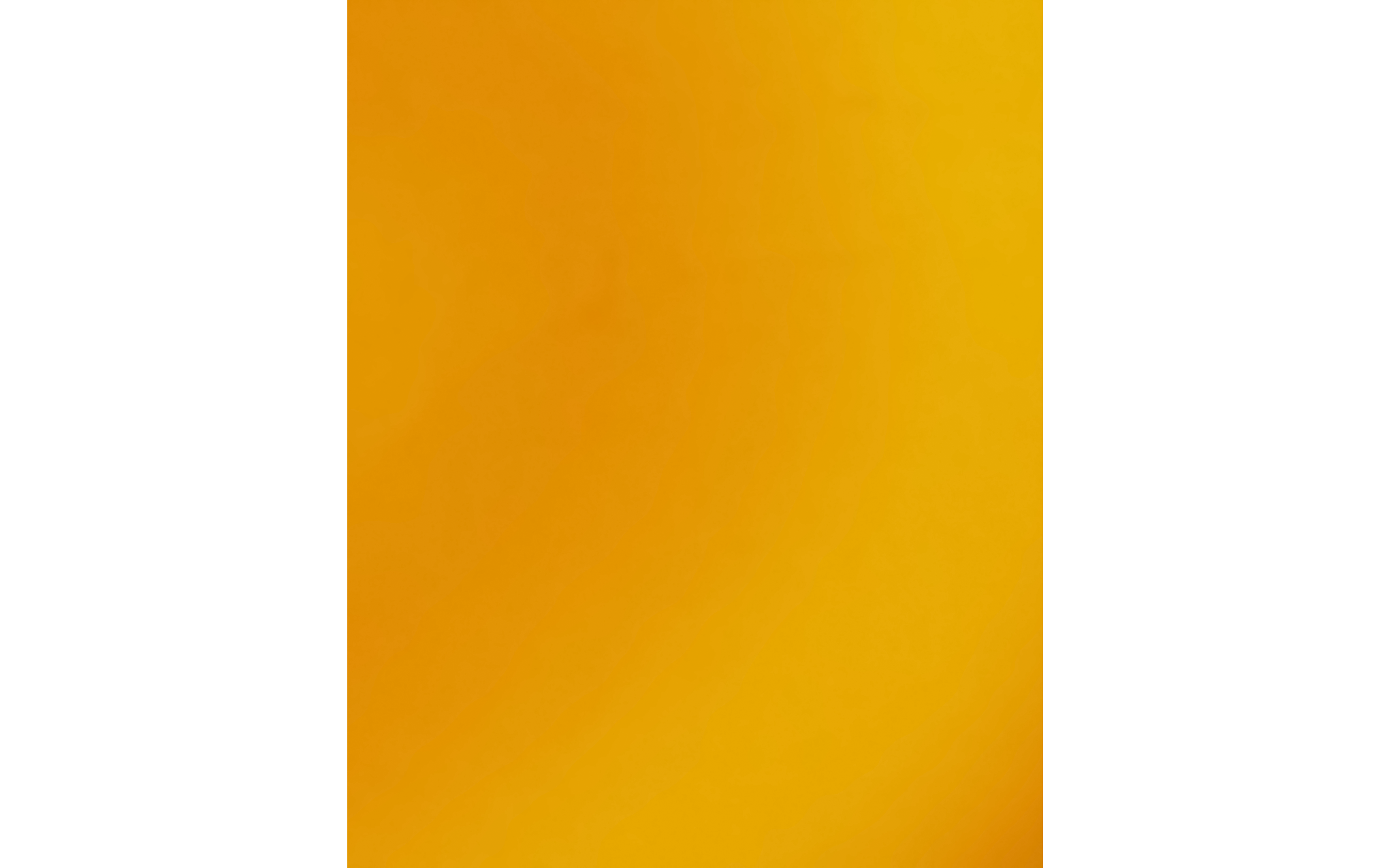 Trophy double pendant