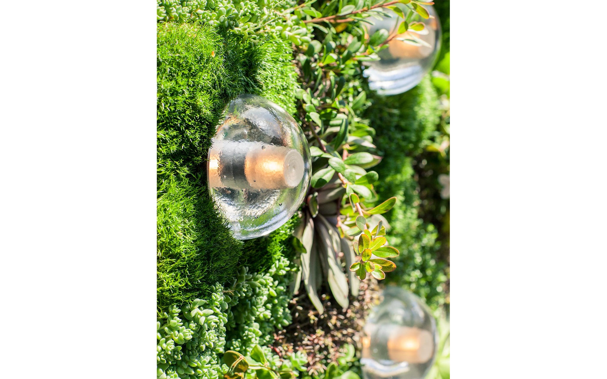 14s wall/ceiling light