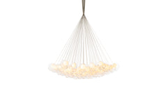 28 Cluster chandelier