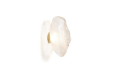 73s wall/ceiling light