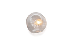 73s wall/ceiling light