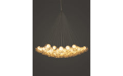 28 Cluster chandelier