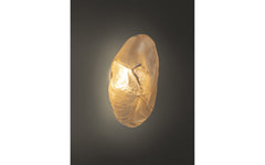 73s wall/ceiling light