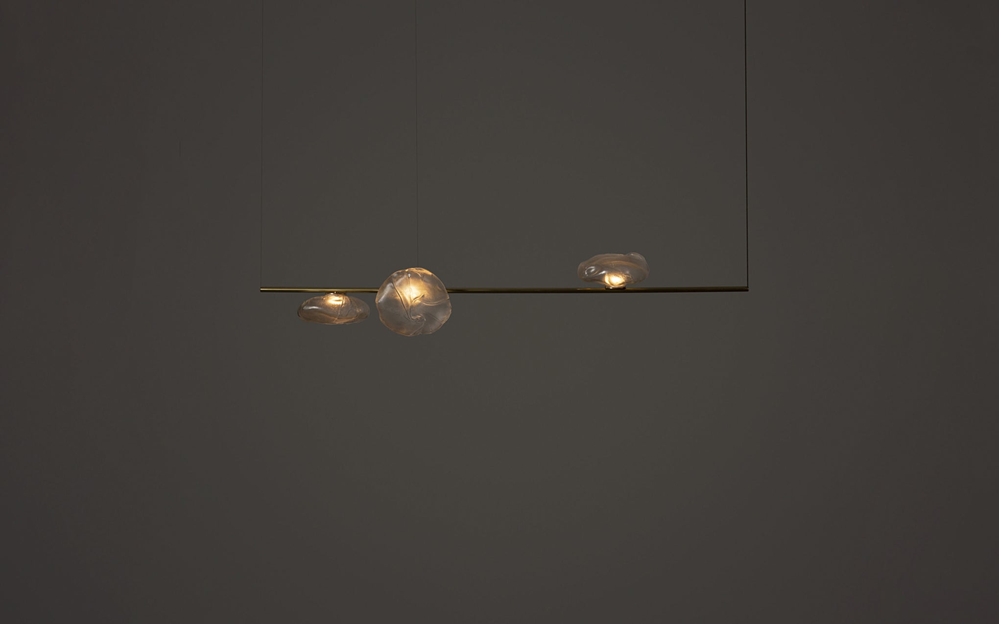 73 Stem suspended light