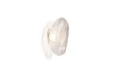 73s wall/ceiling light