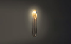 87s wall/ceiling light