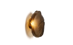 73s wall/ceiling light