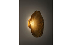 73s wall/ceiling light
