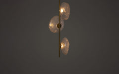 73 Stem ceiling light