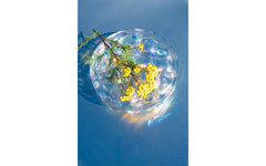 Blister bowl – iridescent