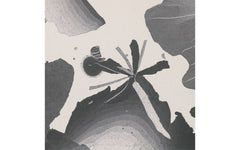Botanica wallpaper