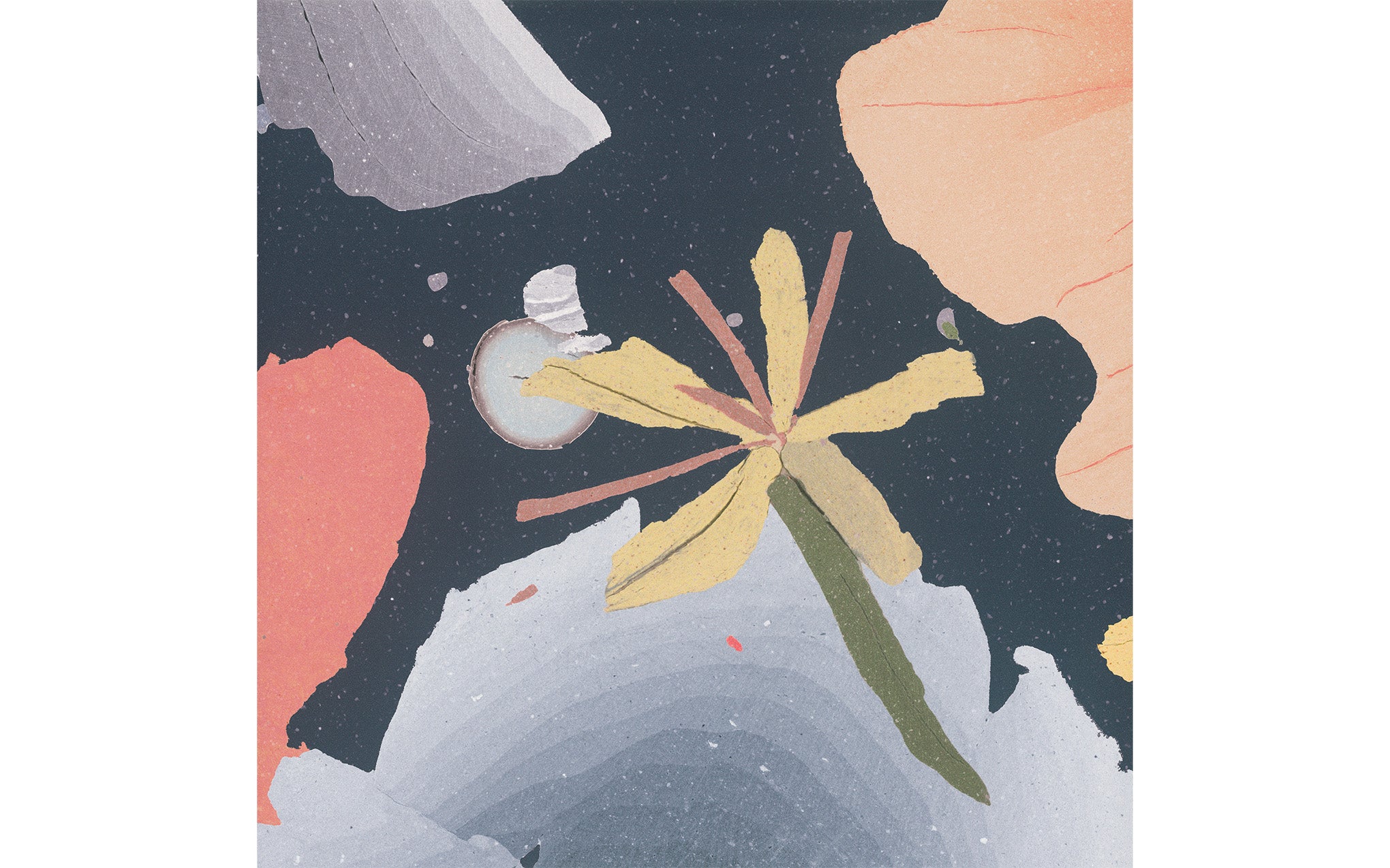 Botanica wallpaper