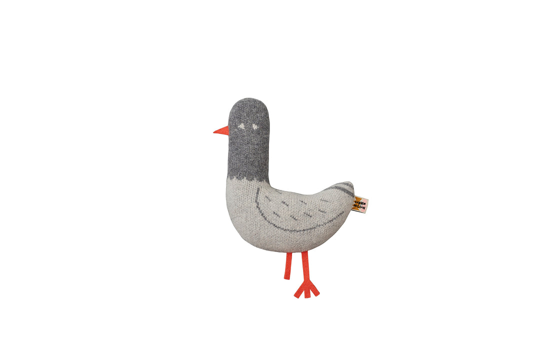 Paddy Pigeon