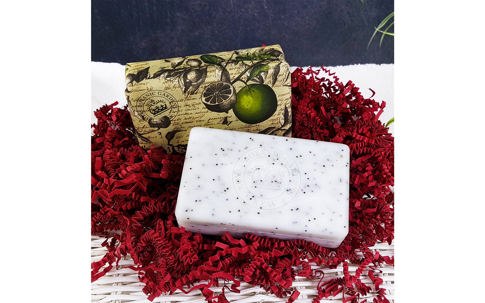 Kew Garden soap bar - lemongrass & lime