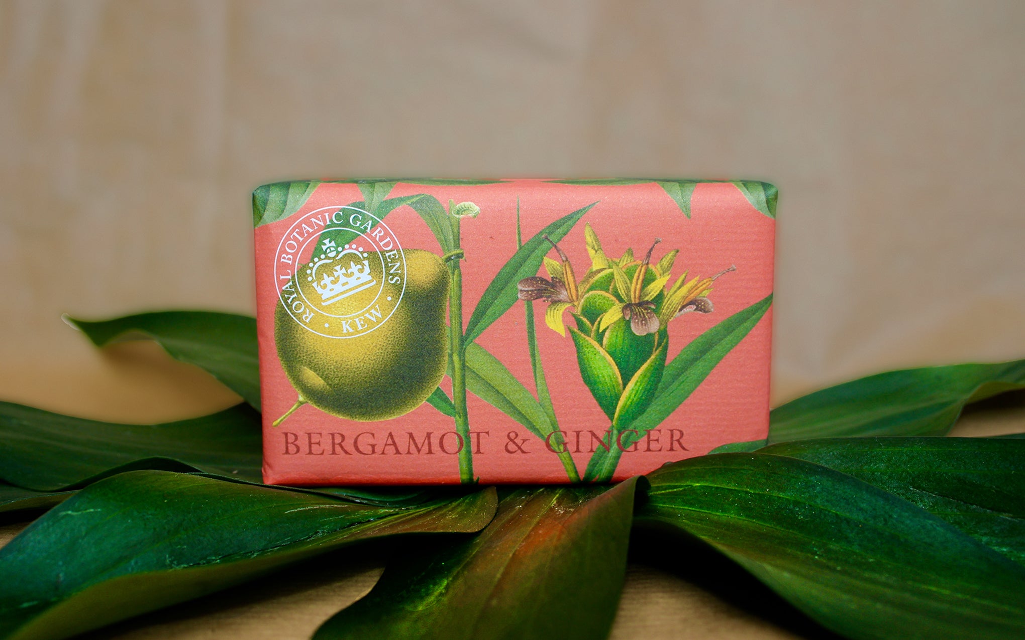 Kew Garden soap bar - bergamot & ginger