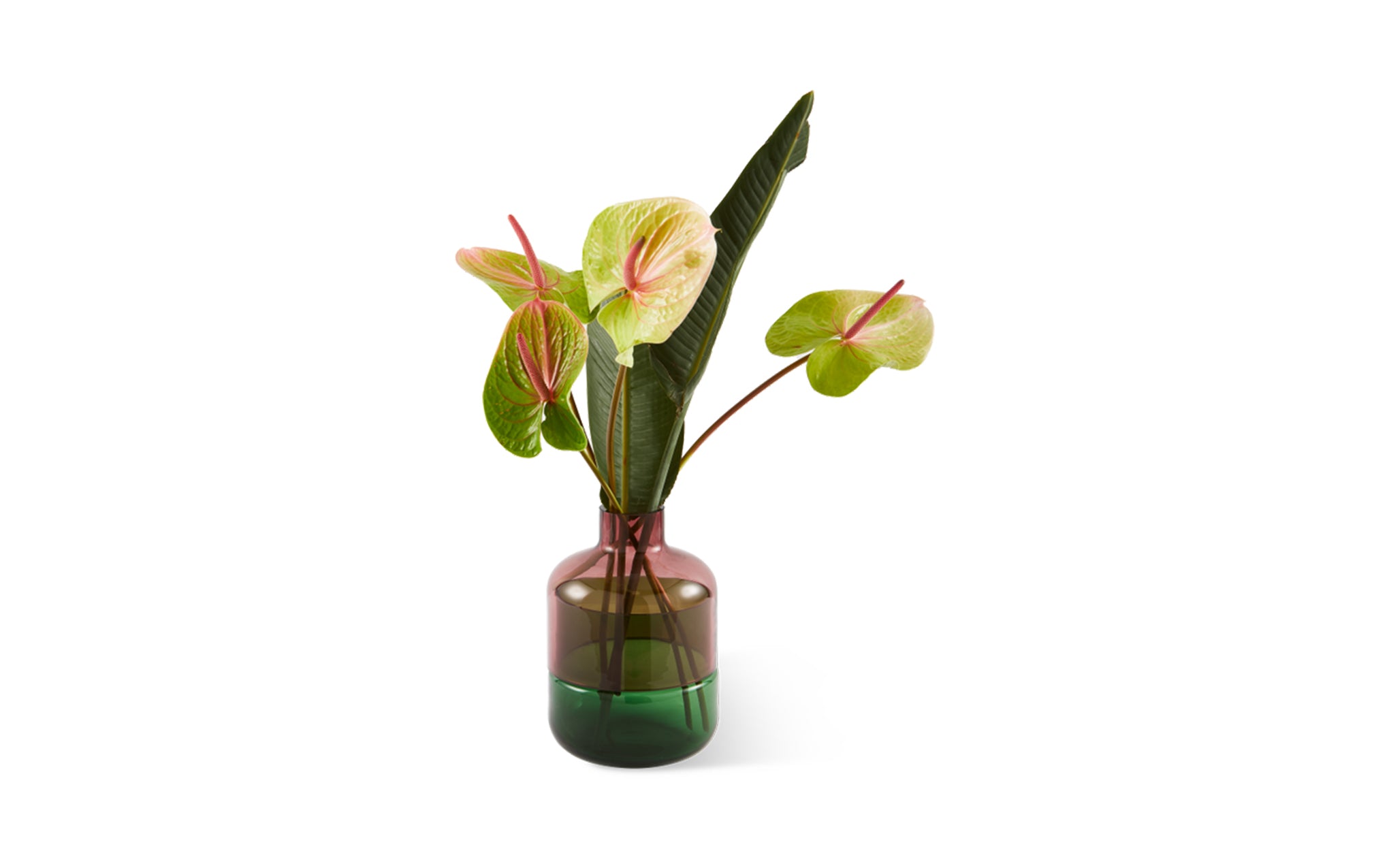 Formy vase - small