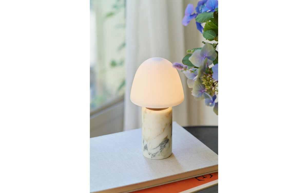 Fuse portable lamp