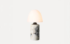 Fuse portable lamp