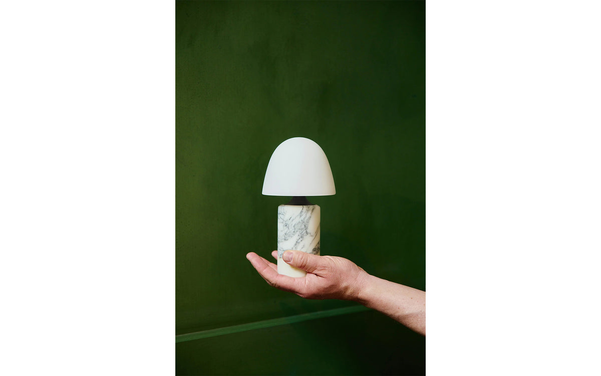 Fuse portable lamp