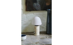 Fuse portable lamp