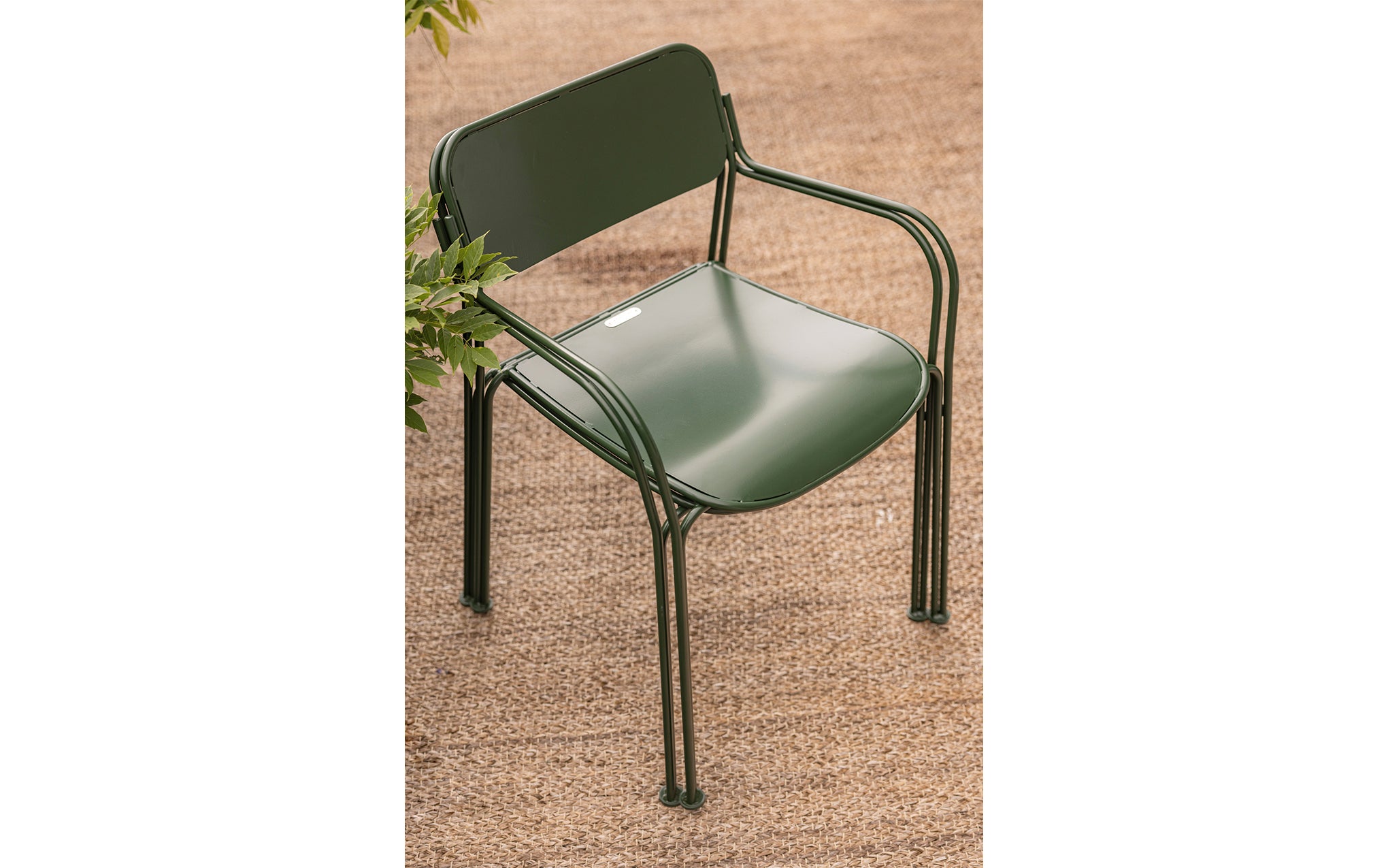 Libelle chair