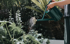 The Bearwood Brook watering can