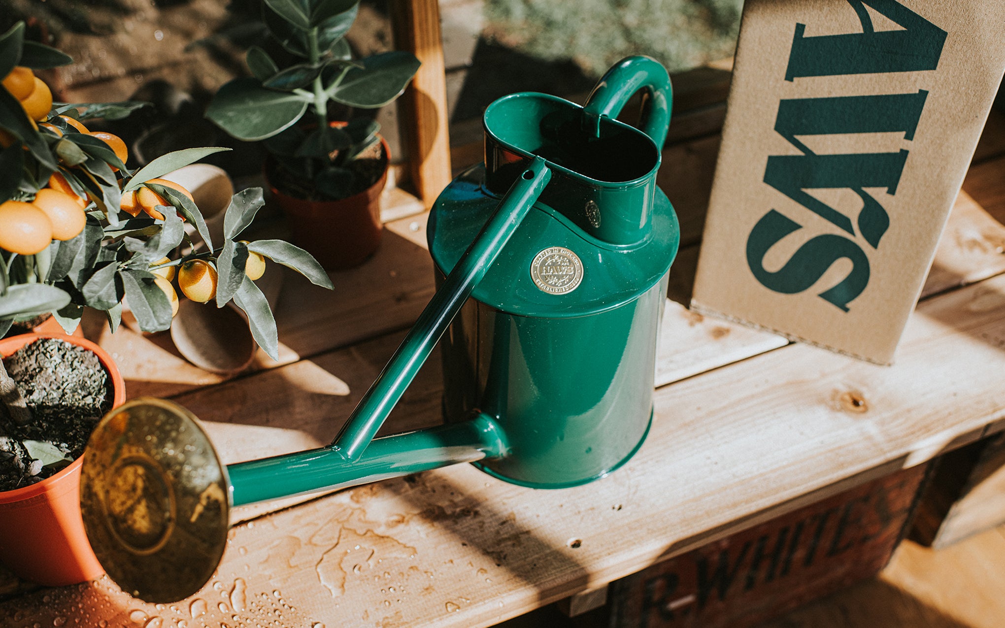 The Bearwood Brook watering can