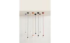 Common pendant cord set