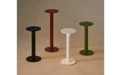 Host portable light - 220
