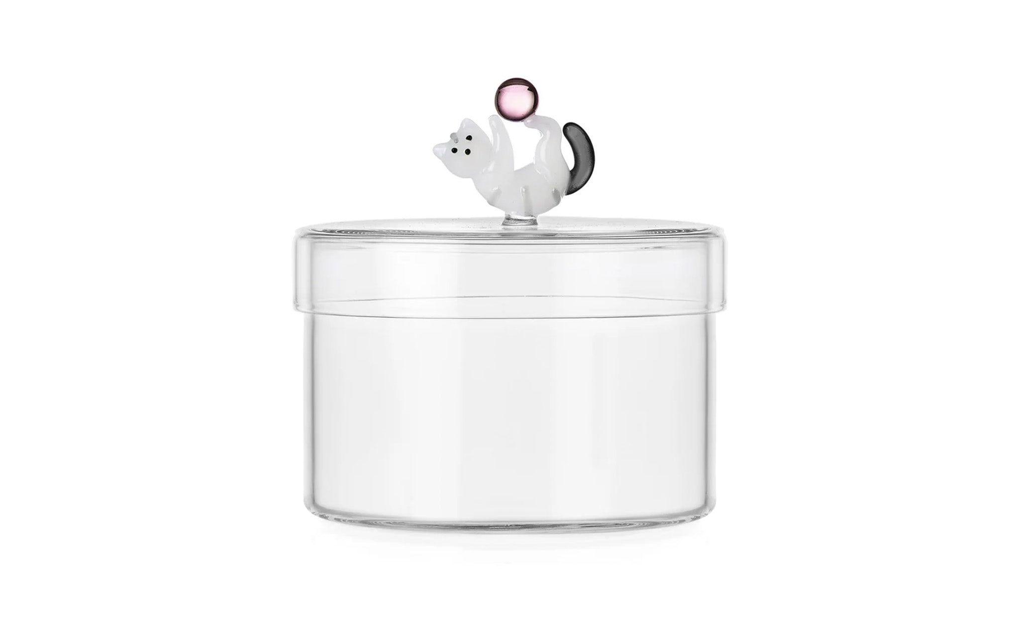 Tabby cat container