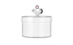 Tabby cat container