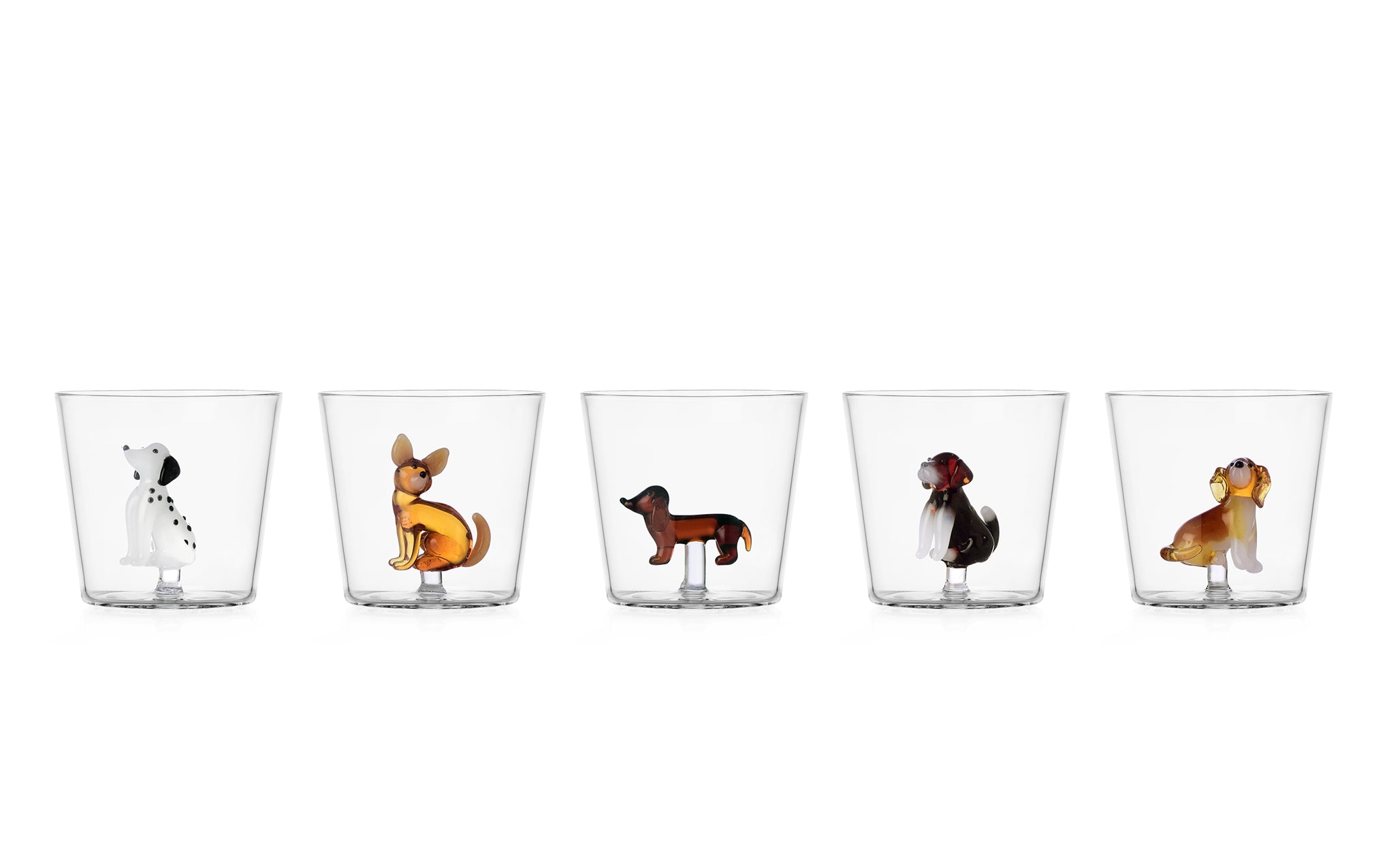 Dogs tumbler - chihuahua