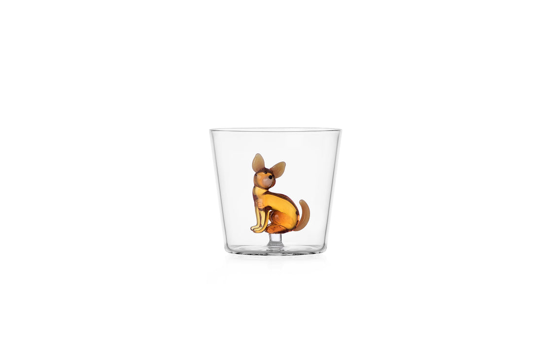 Dogs tumbler - chihuahua