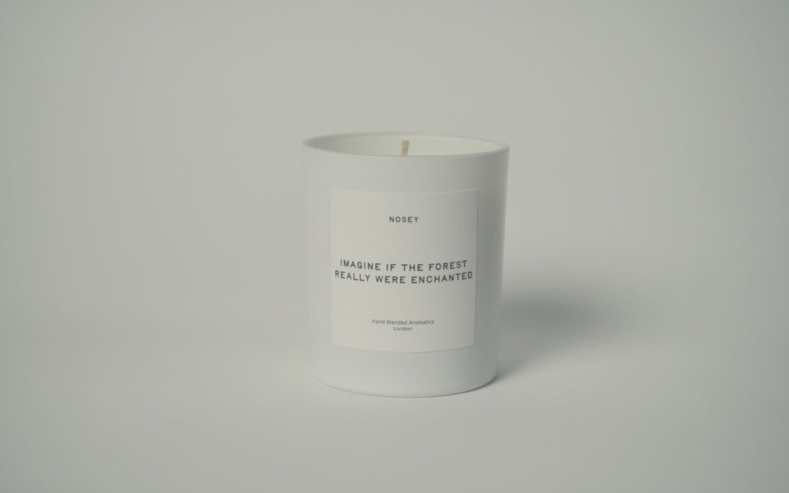 Scented jar candle - Imagine if the Forest Was Enchanted