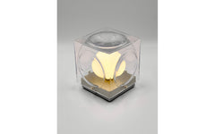 Chant portable light