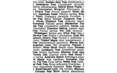 London Trees tea towel - black