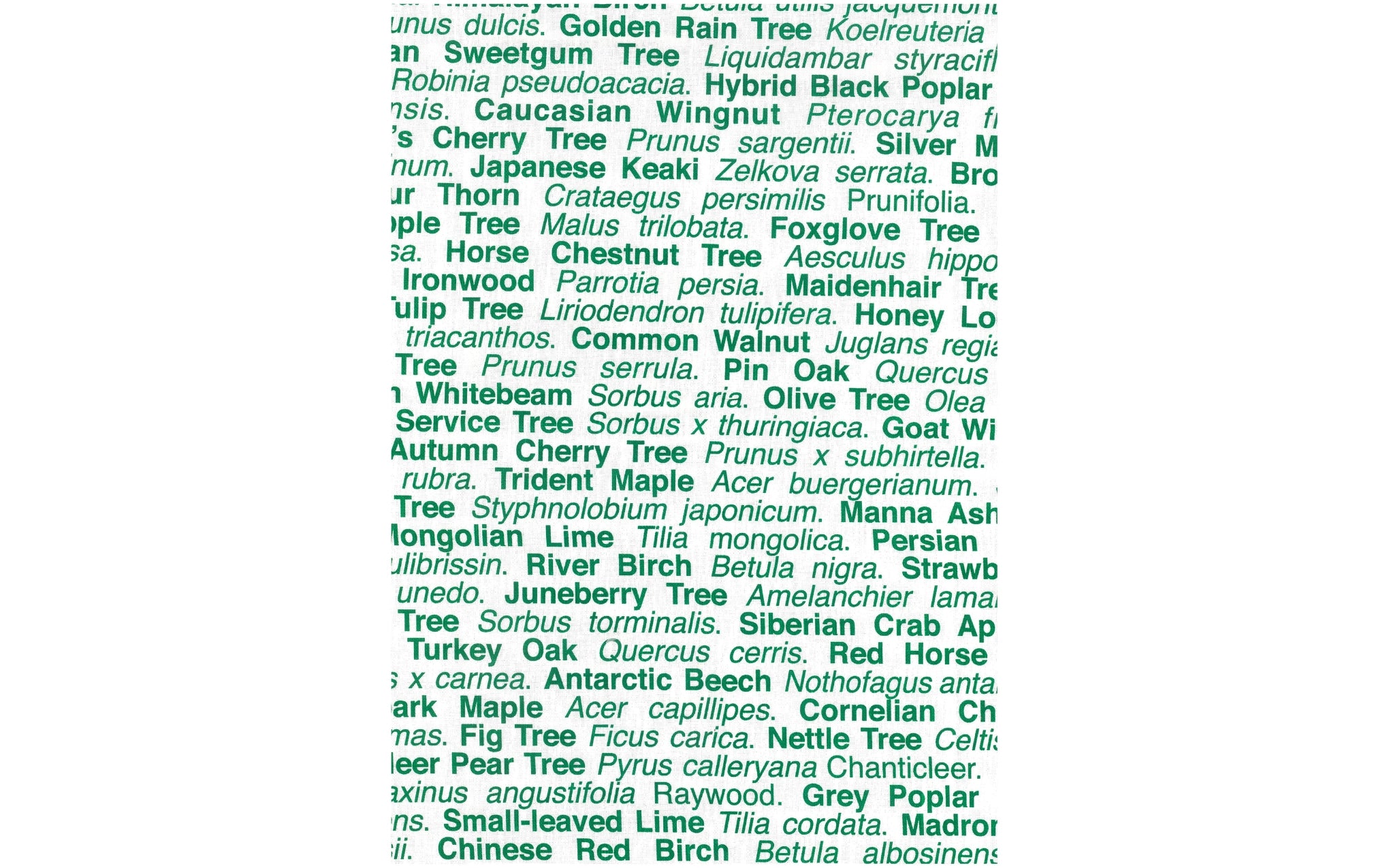 London Trees tea towel - green