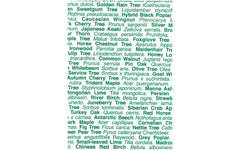 London Trees tea towel - green