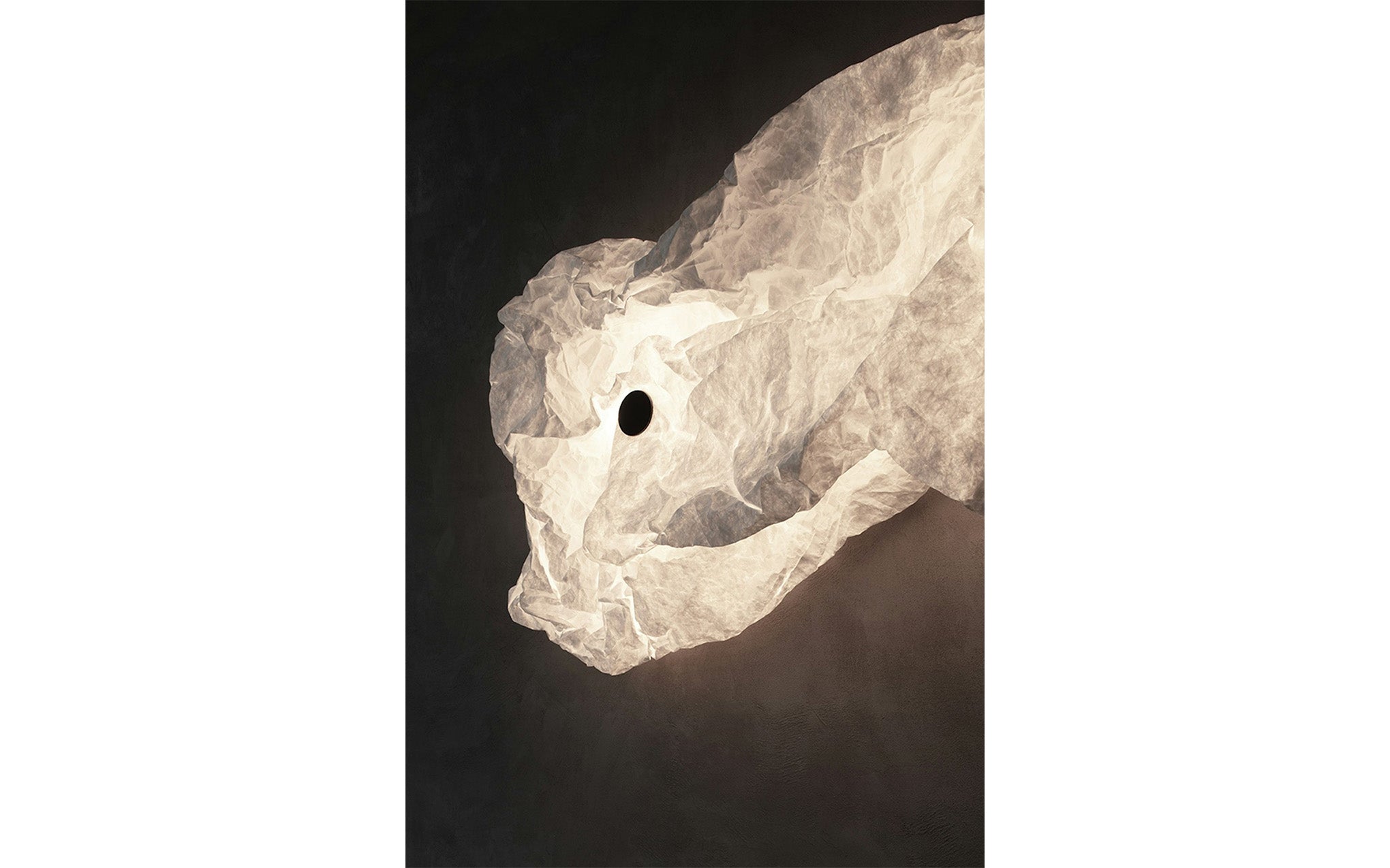 Maap wall light