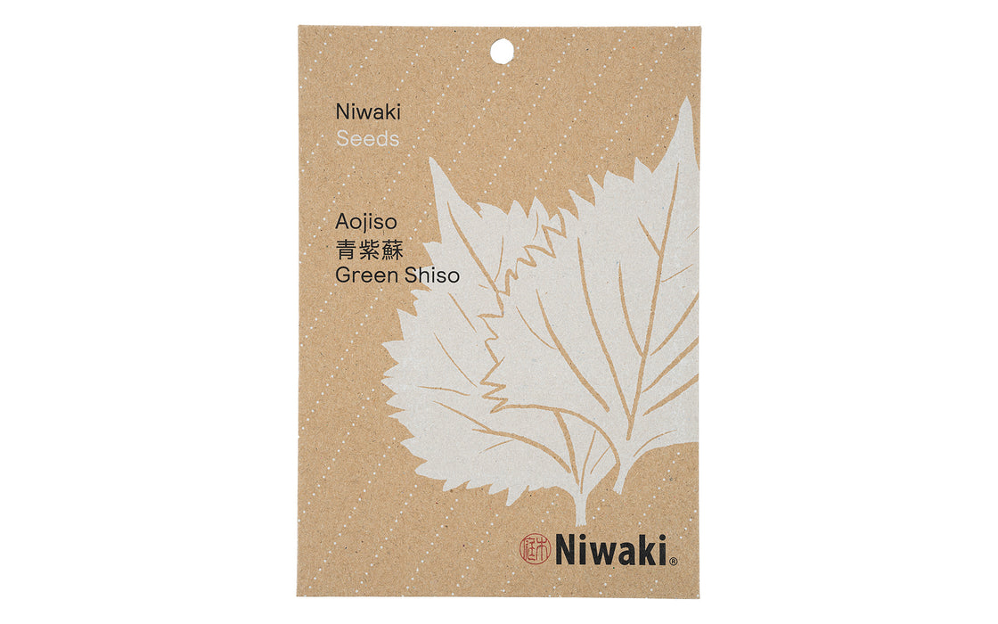 Green Shiso seeds